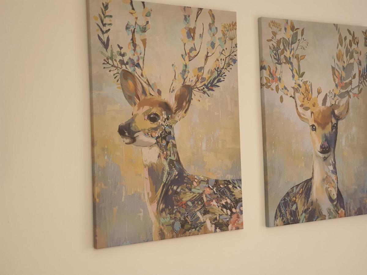 Casa De Silva Apartment Валадоид Екстериор снимка